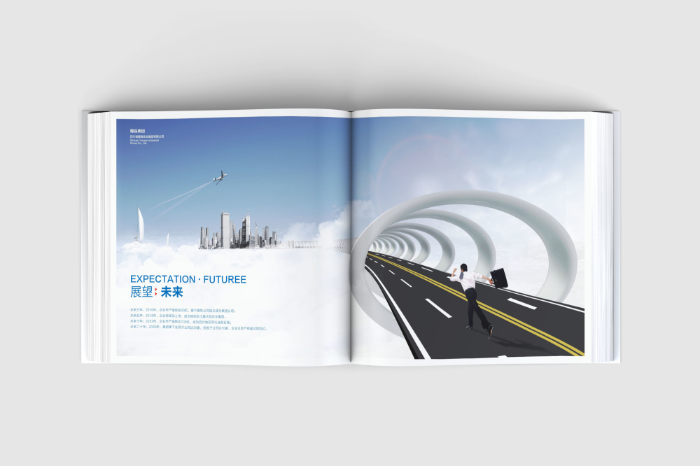 伊吾县画册设计